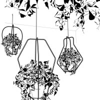 COMPAGNIE-Daniel-dessin