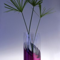 Vase-saturne-2
